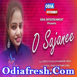 O Sajanee Odia Romantic Song